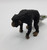 Chimpanzee Female
Perfect for your animal collection
CollectA animals are top quality, accurate sculptures, hand painted and great for education encouraging role play.