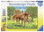 Ravensburger Puzzle

Horses in the Field 100 Piece


approx 49 x 36cm

Ages 6 years+