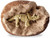 Discover the joy of excavation with our “Dig It Up! Dinosaur Skeleton” kit! Perfect for young explorers, this kit combines the thrill of discovery with the love for dinosaurs.
Uncover a dinosaur skeleton figurine hidden inside each clay egg. Simply soak the egg in water and chisel away to reveal the skeleton.
Bring home the “Dig It Up! Dinosaur Skeleton” kit and watch your child’s excitement as they uncover their dinosaur skeleton
Which skeleton will you uncover.
Purchase is for a single item.
Ages 4 years+ Discover the joy of excavation with our “Dig It Up! Dinosaur Skeleton” kit! Perfect for young explorers, this kit combines the thrill of discovery with the love for dinosaurs.
Uncover a dinosaur skeleton figurine hidden inside each clay egg. Simply soak the egg in water and chisel away to reveal the skeleton.
Bring home the “Dig It Up! Dinosaur Skeleton” kit and watch your child’s excitement as they uncover their dinosaur skeleton
Which skeleton will you uncover.
Purchase is for a single item.
Ages 4 years+