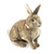 Soft, lifelike, and full of charm, the Cottontail Rabbit Puppet is ready to hop into your heart!

This adorable puppet sits alert with perked ears, bringing a touch of realism to storytelling and imaginative play.

With movable front paws and a mouth, you can animate this rabbit for engaging puppet shows, educational activities, or just fun interactions.

Features 
Movable mouth and front paws for expressive storytelling
Super-soft plush fabric for a cuddly feel
Realistic design with perked ears and lifelike details

Perfect for ages 3+ 

Dimensions: 36cm (L) x 38cm (H) x 15cm (W)

Whether you're entertaining kids, performing puppet shows, or simply enjoying creative play, this Cottontail Rabbit Puppet is sure to delight!