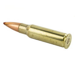 .338 Marlin Express