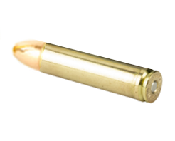 .450 Marlin