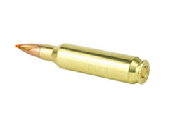 .22 Nosler