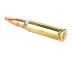 .308 Marlin Express