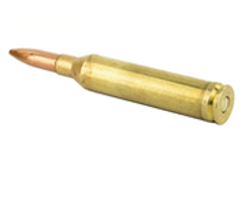 .264 Winchester Magnum