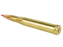 .300 H&H Magnum
