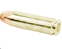 .500 S&W Magnum