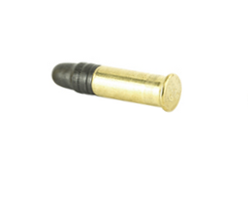.22 Long Rifle (.22 LR)