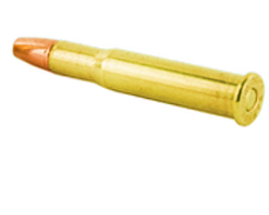 .25-35 Winchester