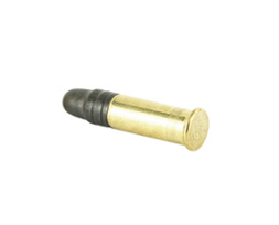 .22 Long Rifle (.22 LR)