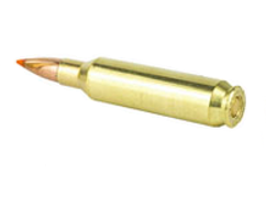 .22 Nosler
