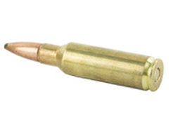 .300 RSAUM