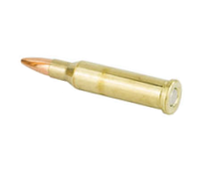 .17 Hornet