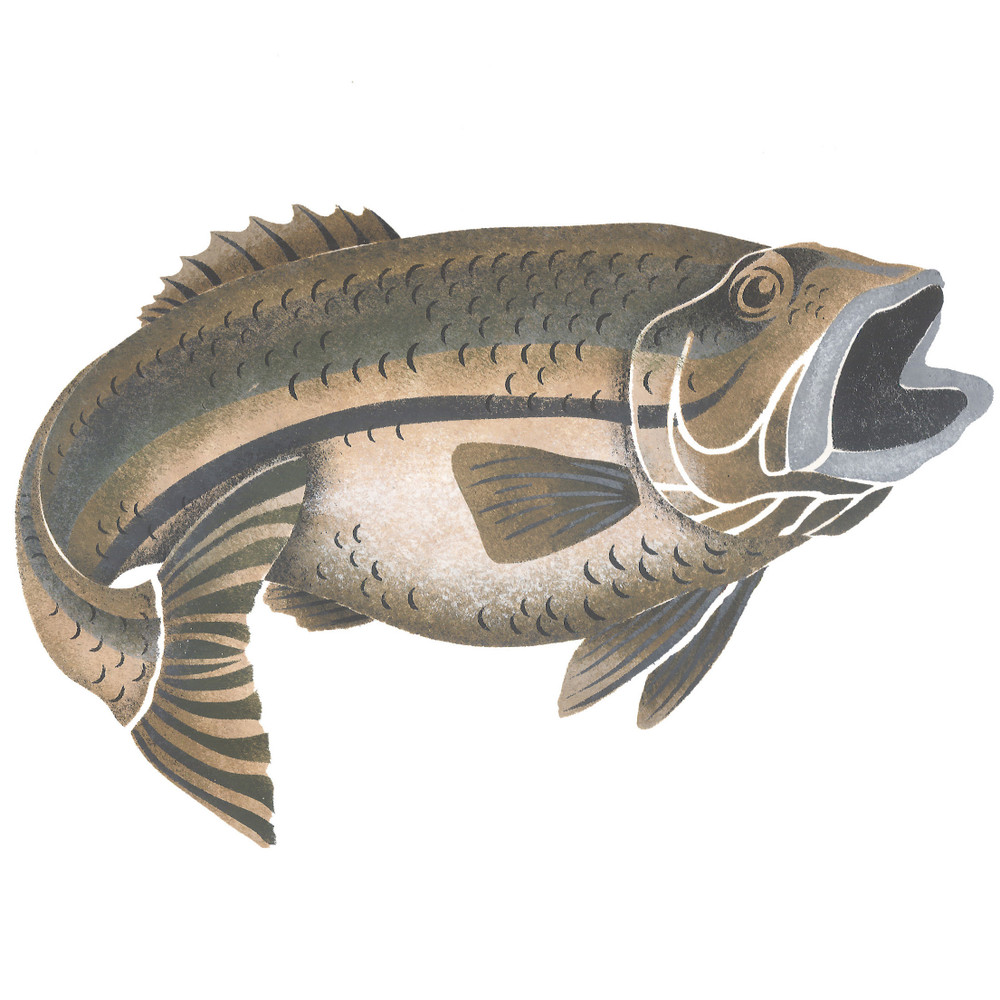 Large Mouth Bass Wall Stencil by DeeSigns