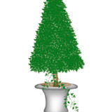 Medium Cone Topiary Wall Stencil