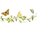 Butterfly with Vine Wall Stencil Border