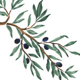 Olive Tree Branch Wall Stencil