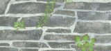 Garden Wall Stencils