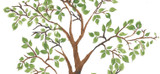 Tree and Branch Wall Painting Stencils