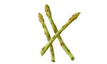 Asparagus Craft Stencil