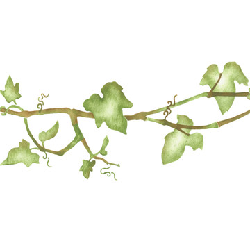 Leafy Ivy Vine Wall Stencil
