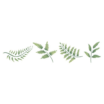 Small Ferns Wall Stencil