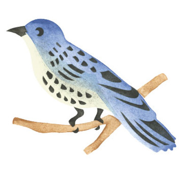 Bluebird Wall Stencil