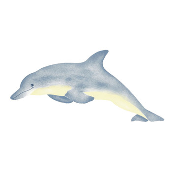 Large Single Dolphin Wall Stencil