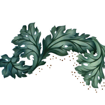 Acanthus Leaves Wall Stencil by The Mad Stencilist