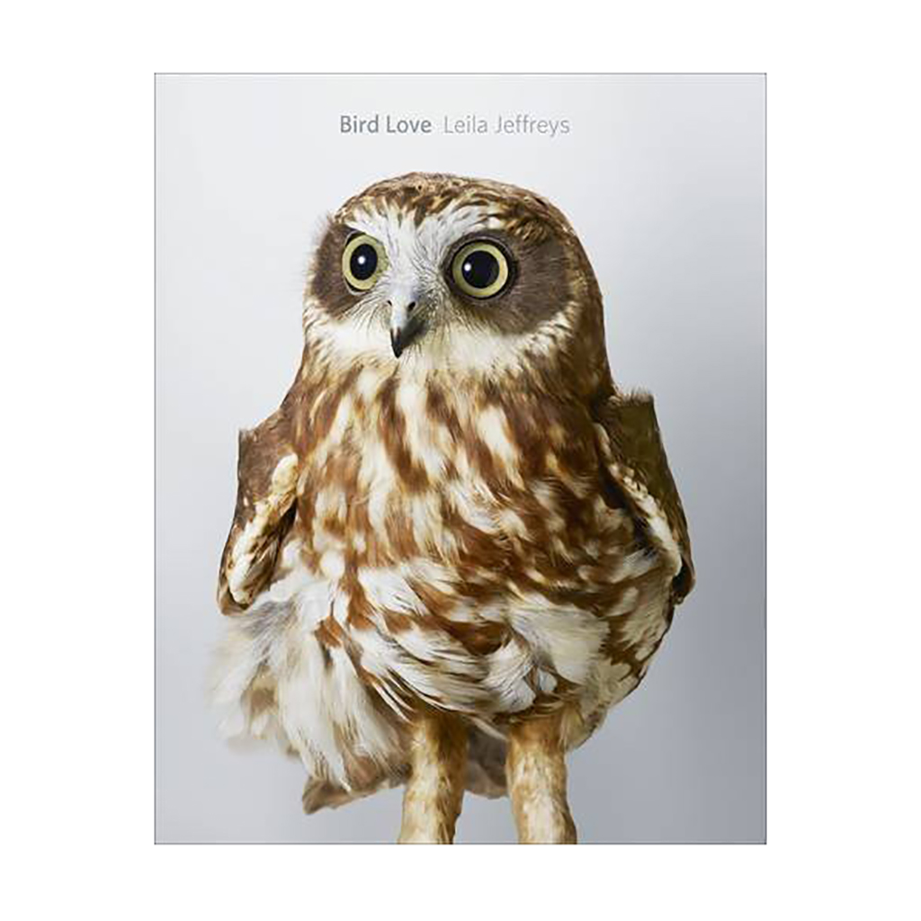 Bird Love