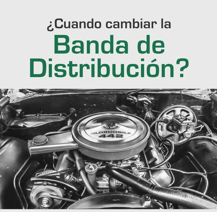 Ccuando cambiar la banda de distribución de mi vehiculo