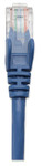 Intellinet Cat6 UTP Network Patch Cable, 1ft, Blue - 343282