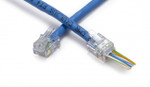 EZ-RJ12/11 Pass-Through RJ12/RJ11 Connectors - 100pcs in Box - 100026B