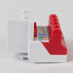 CAT6 RJ45 Keystone Jack for EZ® Style - White, 400-Pack IC107L6RWH