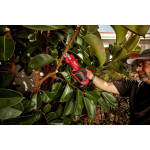 M12 Brushless Pruning Shears - 2534-20