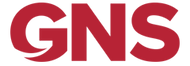 Global Network Security