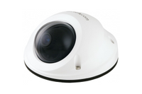 IP Cameras