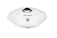 IP Panoramic Cameras