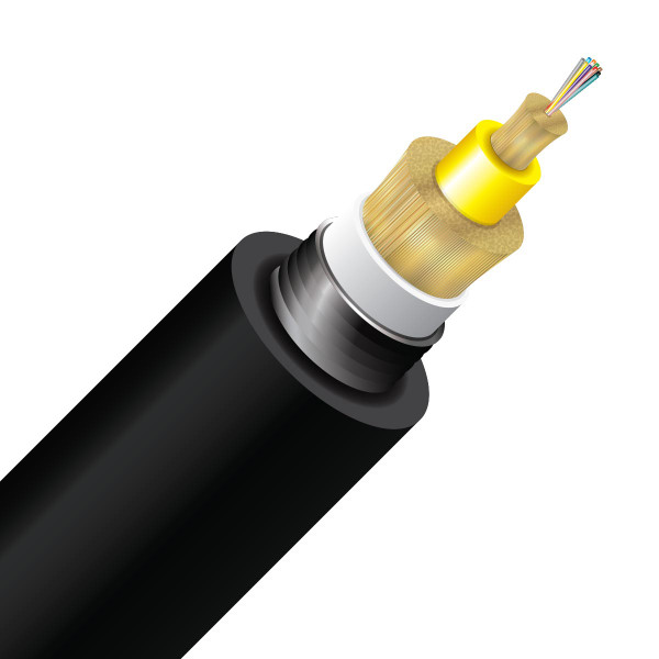Fiber 12STR 9/125 SSF G657 Armo DB - 1ft - 12ACS9125OS2PE-B Fiber 12STR 9/125 SSF G657 Armo DB - 1ft - 12ACS9125OS2PE-B