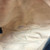Gucci Double G Marmont Round Shoulder