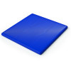 Blue Floor Mat (WB0211)