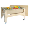 Deluxe Sand & Water Table with Lid