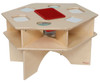 Deluxe Science Activity Table