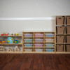 Cubby Shelves with Translucent Trays