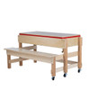 Mobile Sand and Water Table w/ Bench