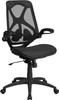 High Back Transparent Black Mesh Executive Ergonomic Office Chair with Adjustable Lumbar, 2-Paddle Control & Flip-Up Arms