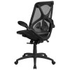 High Back Transparent Black Mesh Executive Ergonomic Office Chair with Adjustable Lumbar, 2-Paddle Control & Flip-Up Arms