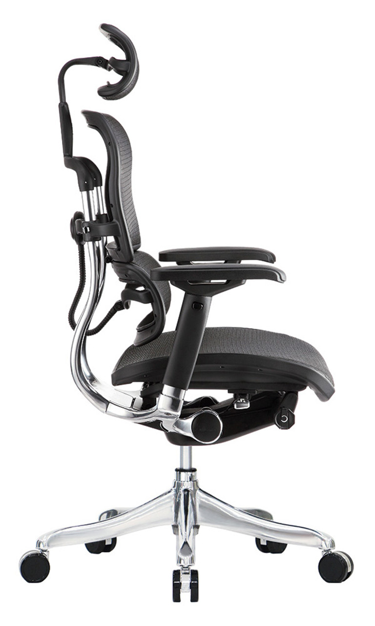 Eurotech Ergohuman Mid-Back Mesh-Leather Chair, Black-Chrome