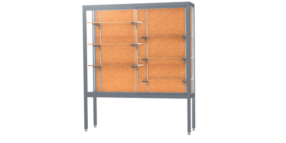 Waddell Challenger display case with white back for school hallways