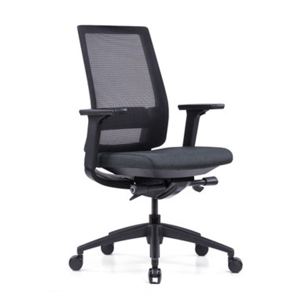 High Back Mesh Task Chair and Headrest